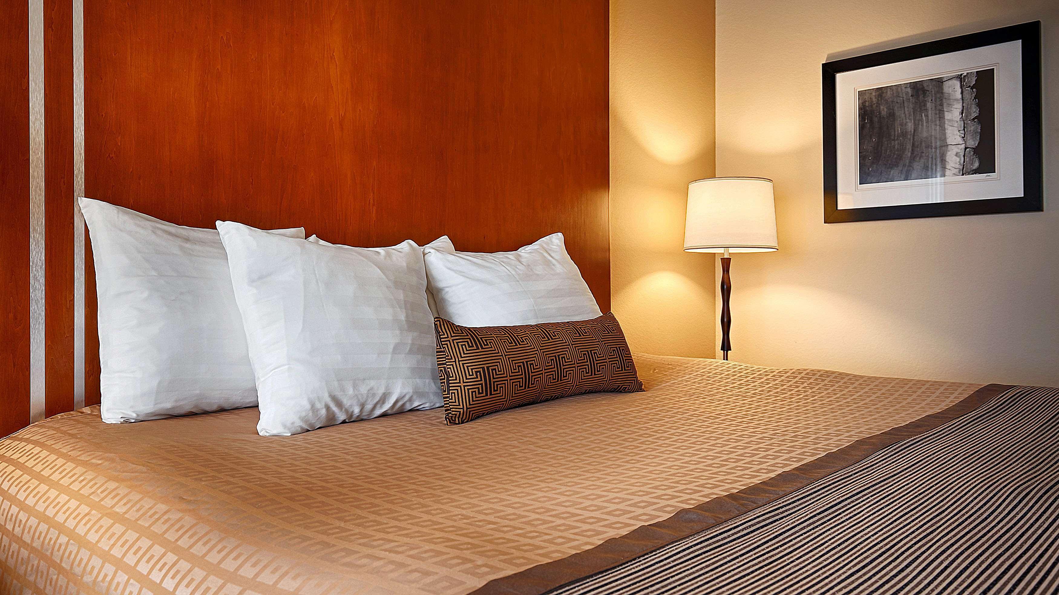 Best Western Plus Rose City Conference Inn Τόμασβιλ Εξωτερικό φωτογραφία